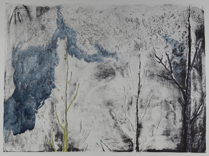 Wald (f_a) (h), 2015, lithographie handkoloriert (Ölkreide, graphit, aquarellfarbe, fineliner auf büttenpapier, unikat, motiv 67x96 cm, gerahmt 80x100 cm